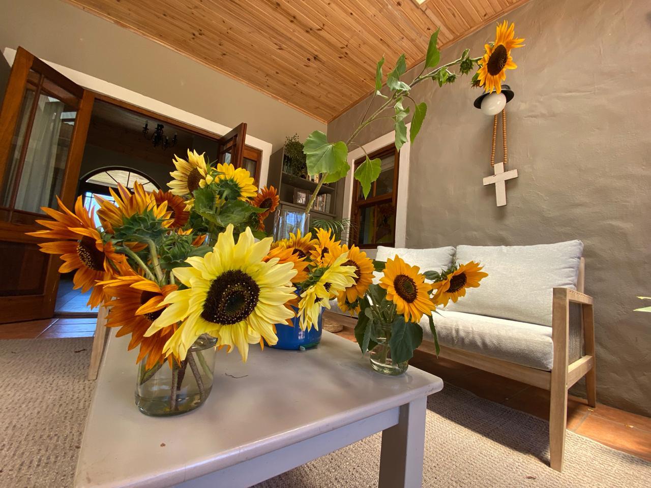 Happy Yellow Sunflowers