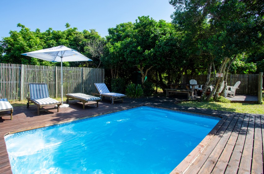 swimming pool with loungers at Baleia Azul 16 in Ponta Mamoli