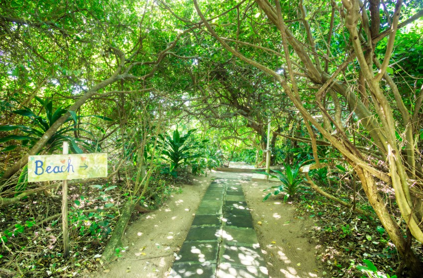 Walkway at Baleia Azul 26 in Ponta Mamoli